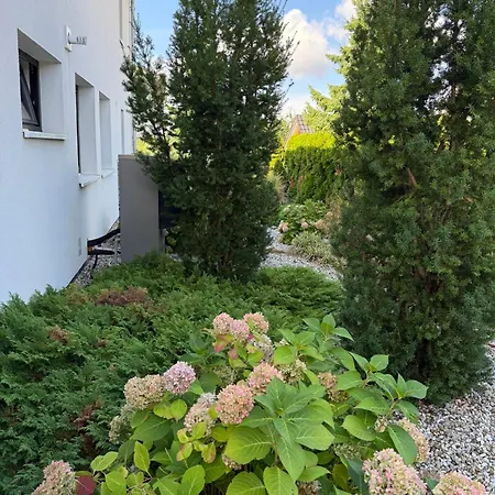 Private Near Prague Up 10 Guests Villa