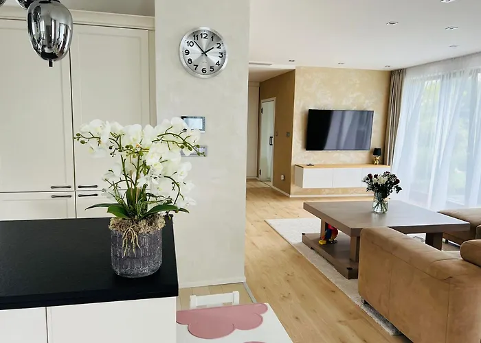 Luxury Prague House With Car *